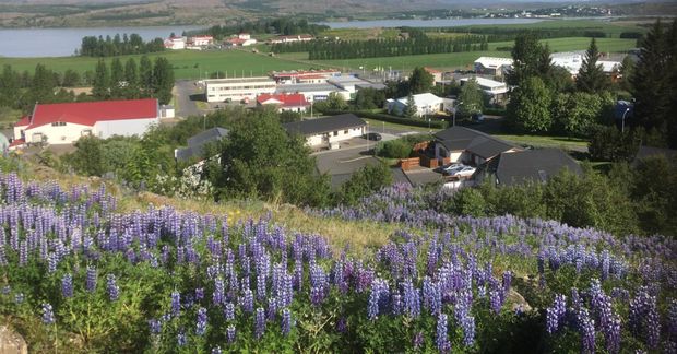 Egilsstaðir