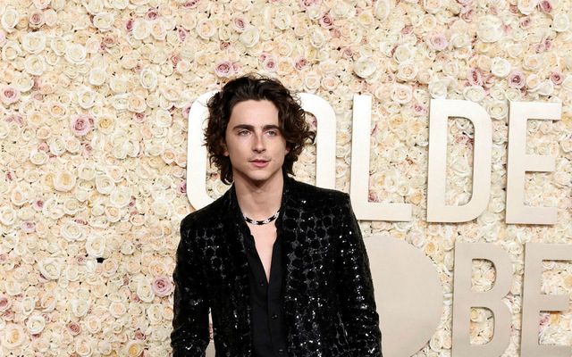 Timothée Chalamet á greinilega marga tvífara.