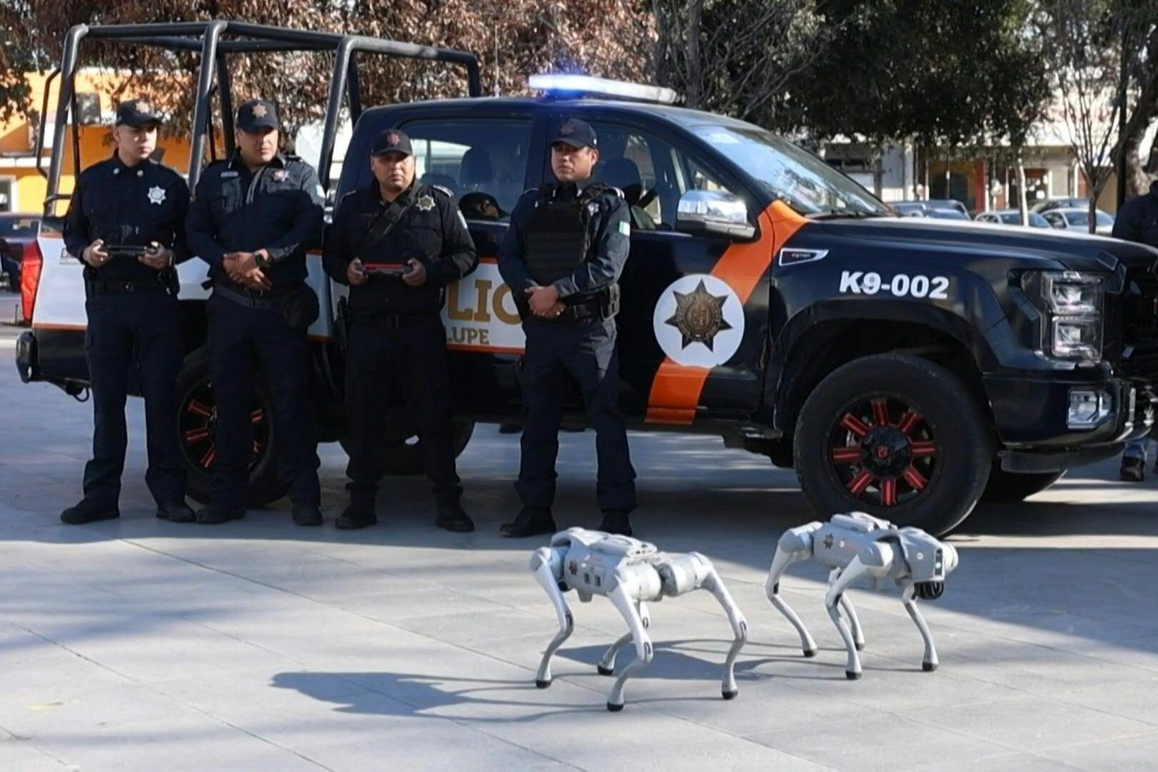 Myndskeið: Vélhundar til höfuðs glæpamönnum á HM