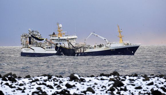 Fjögur skip til leitar að loðnunni