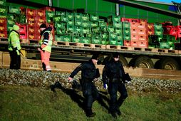 Bjórlest frá DB Cargo átti þátt í slysinu á Stórabeltisbrúnni í gær. Slíkar lestir verða …