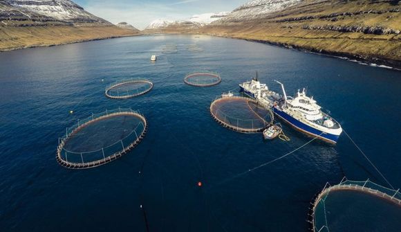 7,6 milljarða hagnaður hjá Bakkafrost