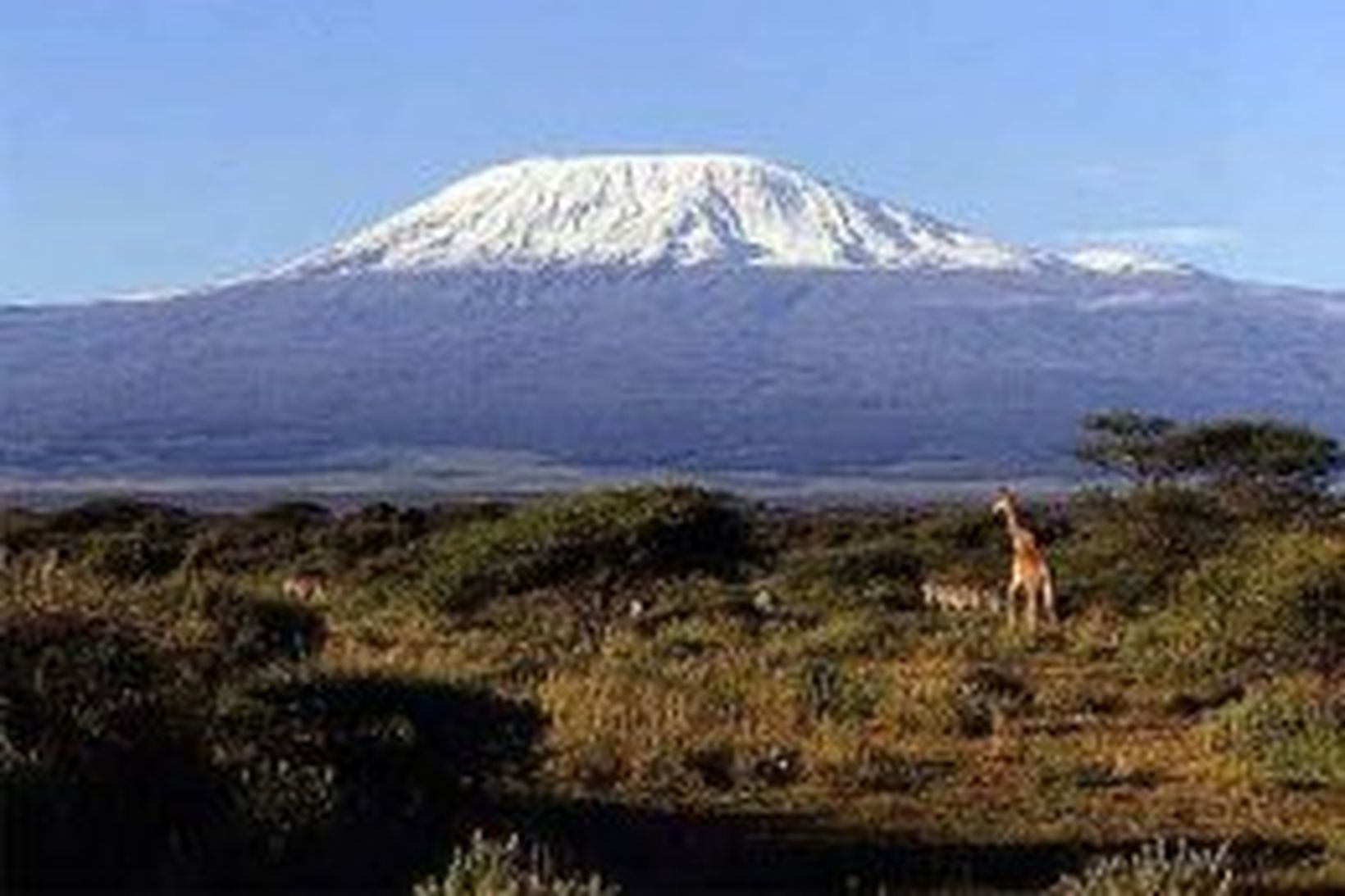 Vilji fólk á sextugaldri ganga á Kilimanjaro þá lætur það …
