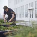 Vikumatseðill Leifs á La Primavera