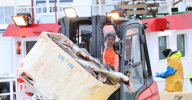 Vesen var á skráðum aflatölum strandveiðibáta á gagnasíðum Fiskistofu.