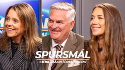 Spursmál: Kallar eftir afsögn ríkislögreglustjóra