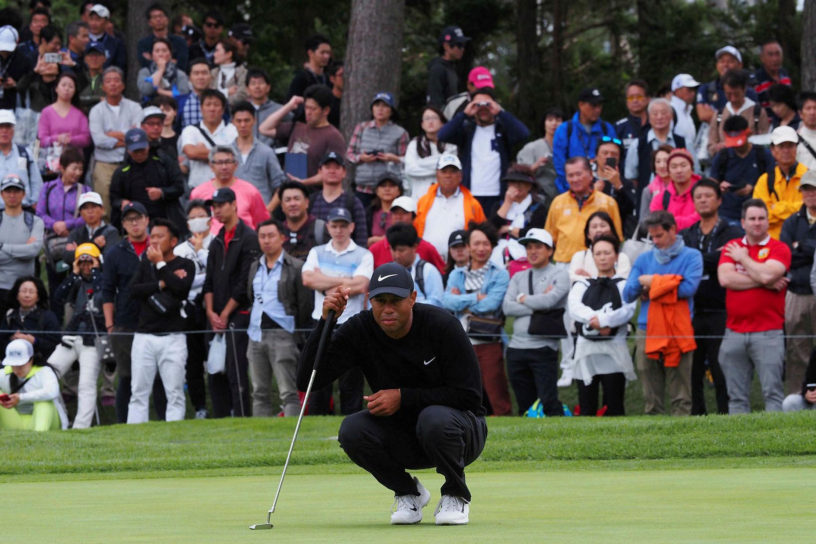 Tiger Woods hefur byrjað frábærlega í Japan.
