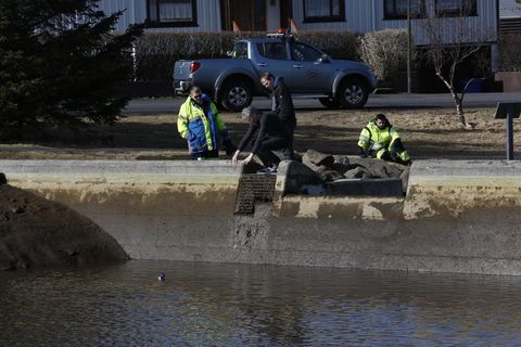 The lagoon above the waterfall was being emptied this morning by staff at Hafnarfjörður town department. The accident has struck the hearts of locals who are praying for the recovery of the younger brother who is in critical condition in hospital.