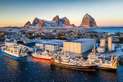 Hluti uppsjávarflota Pelagia bundinn við fiskvinnslu í Husøy sem er stærsti þéttbýliskjarni sveitarfélagsins Træna, elsta …