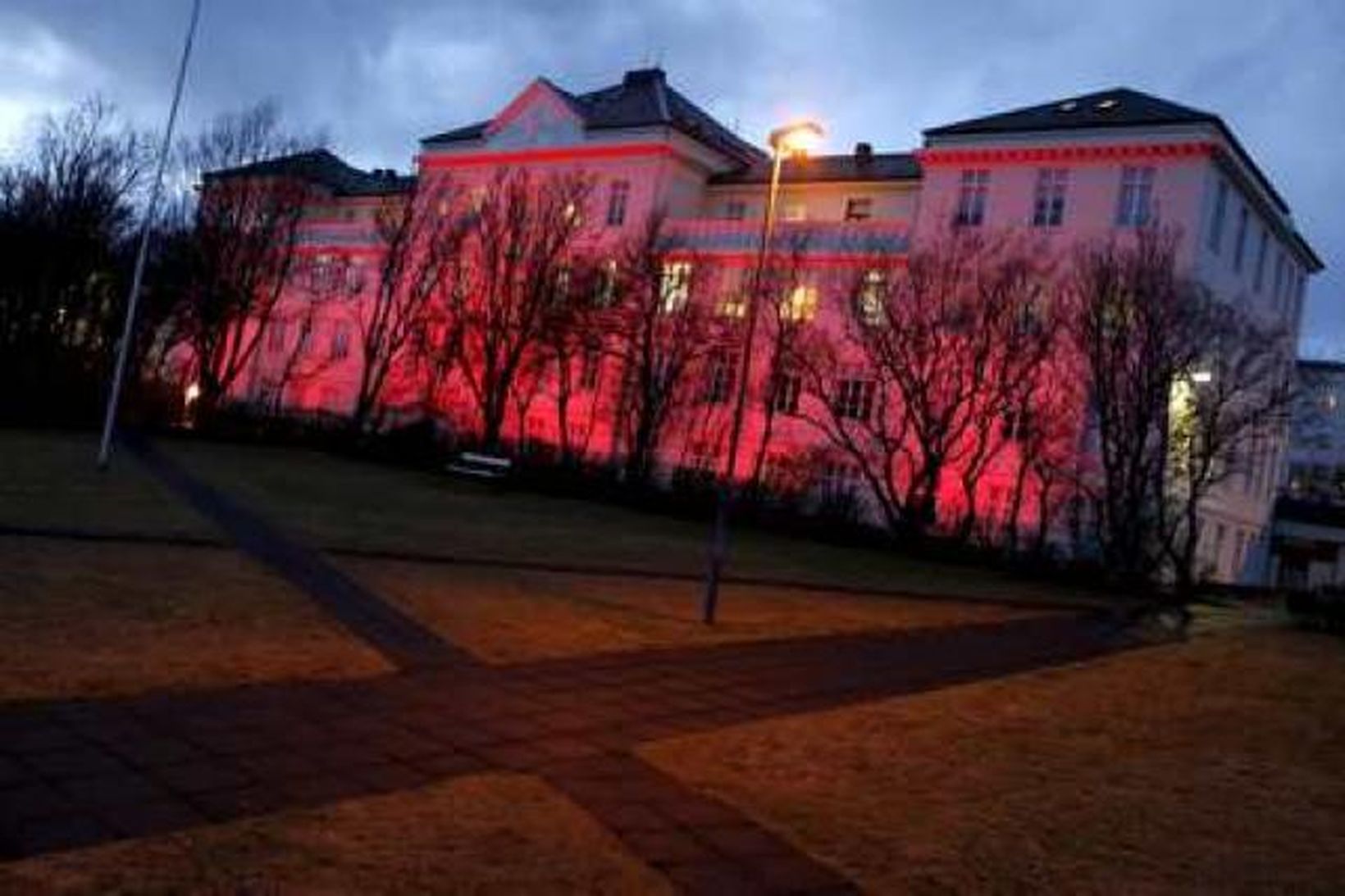 Miðað við sjúkrahúsfrðæin ætti að kaupa tæki á Landspítalann fyrir …