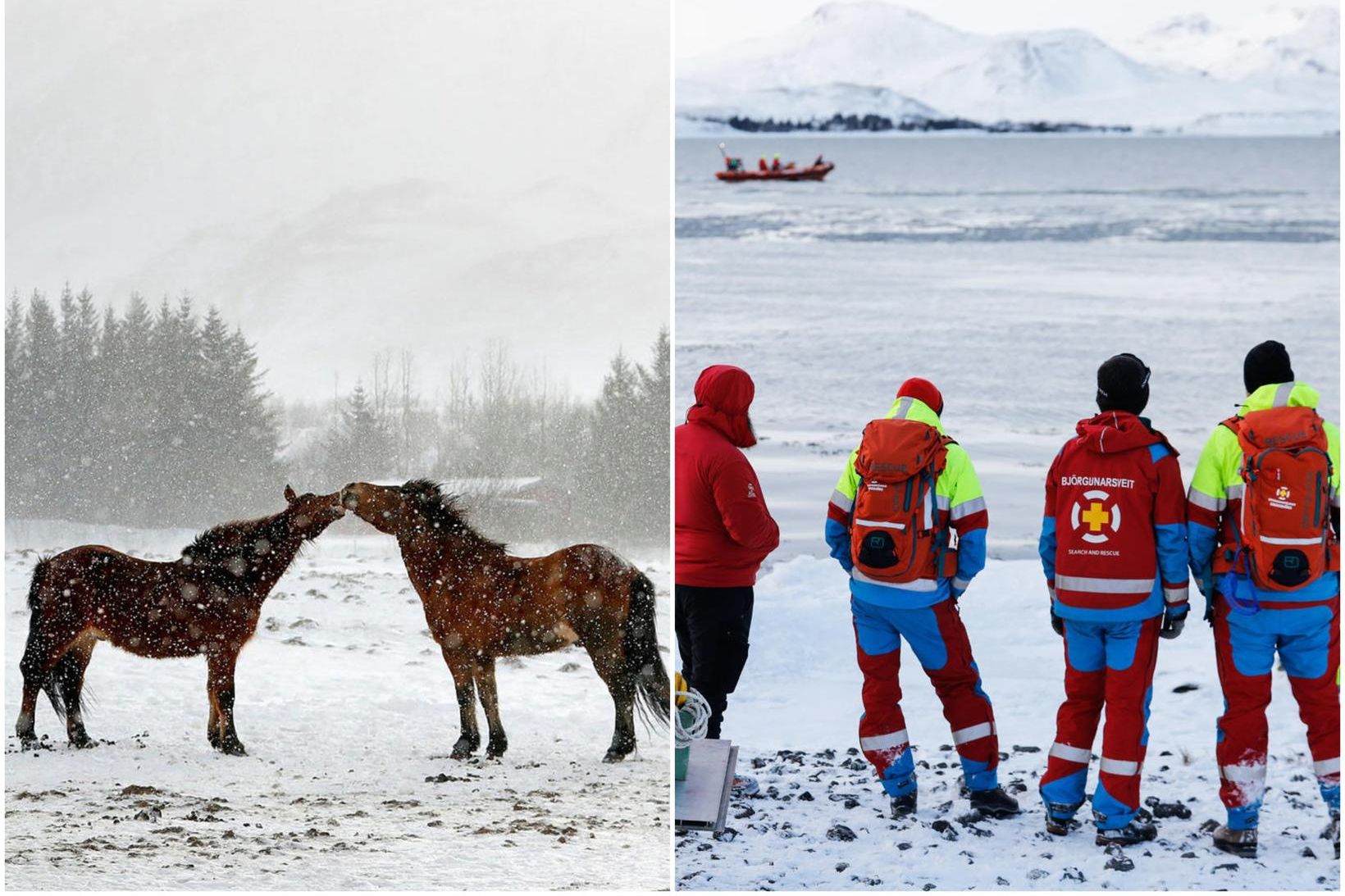 Hesturinn var fastur í skurði.