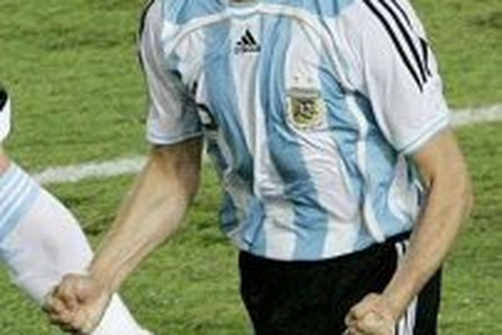 Gabriel Heinze fagnar marki sínu með Argentínumönnum gegn Mexíkó í …