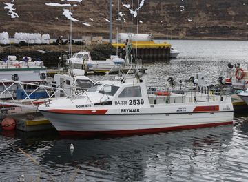Brynjar BA 338