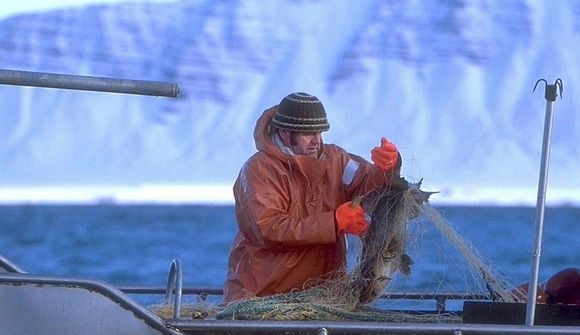 Netaveiðar við Ísland gætu lagst af