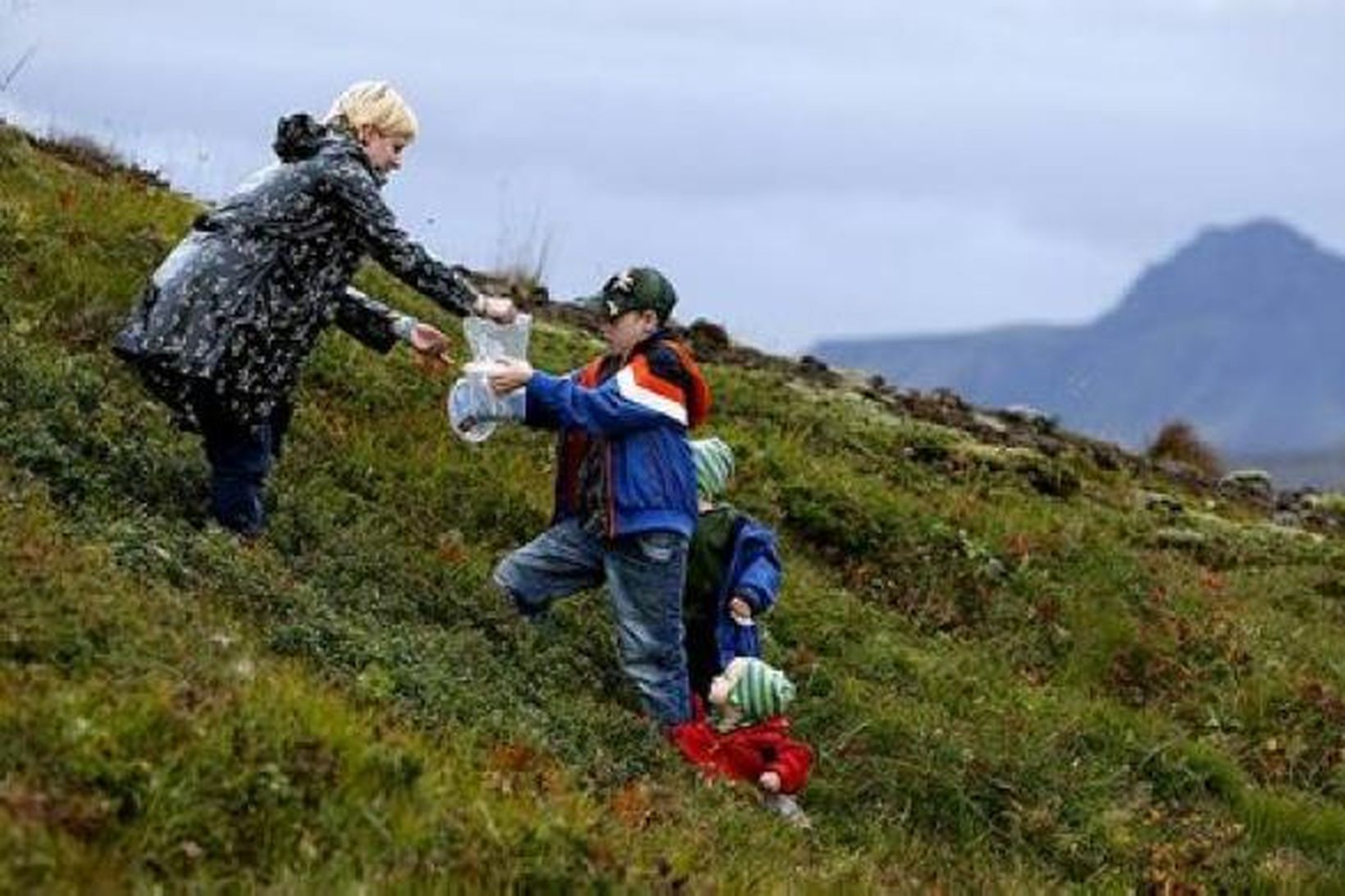 Í berjamó í Heiðmörk.