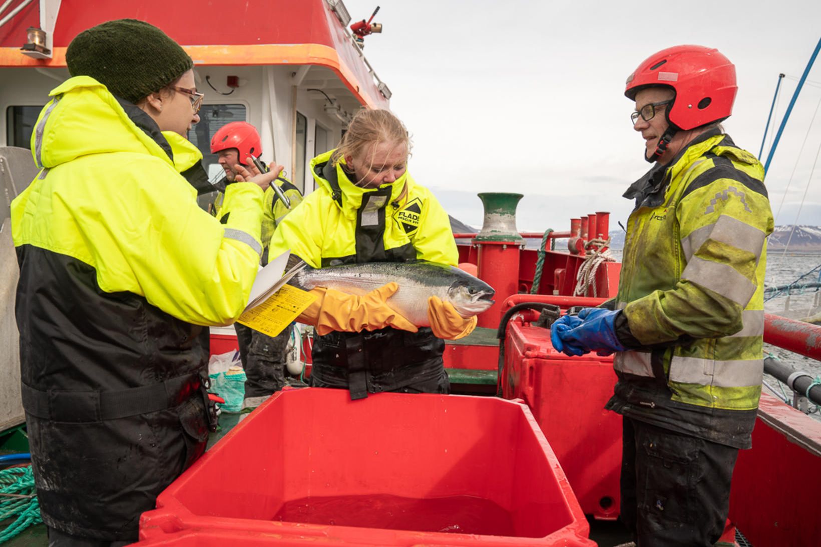 Góður árangur hefur gengið hjá fiskeldisfyrirtækinu Arctic Fish á árinu.