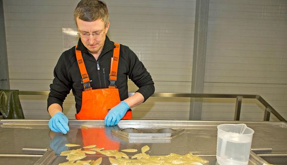 Starfsmenntun HA í fiskeldi hlýtur 46 milljónir