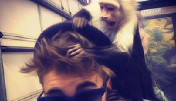 Bieber skilur við apann