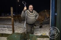 Guðmundur Björgvinsson 