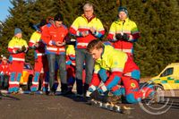 Alþjóðlegur minningardagur um fórnarlömb umferðarslysa