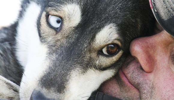 Ótrúleg eðlishvöt hunds bjargaði lífi