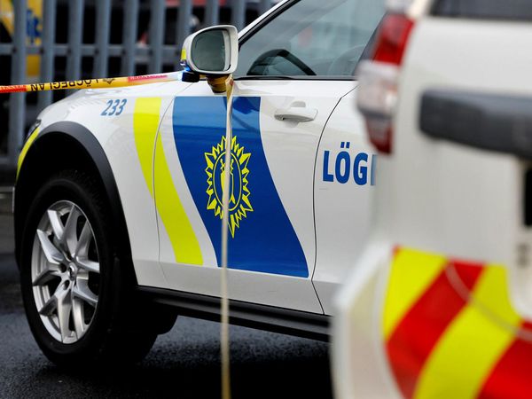 Icelandic police found the children in a hotel in Reykjavík with their mother.