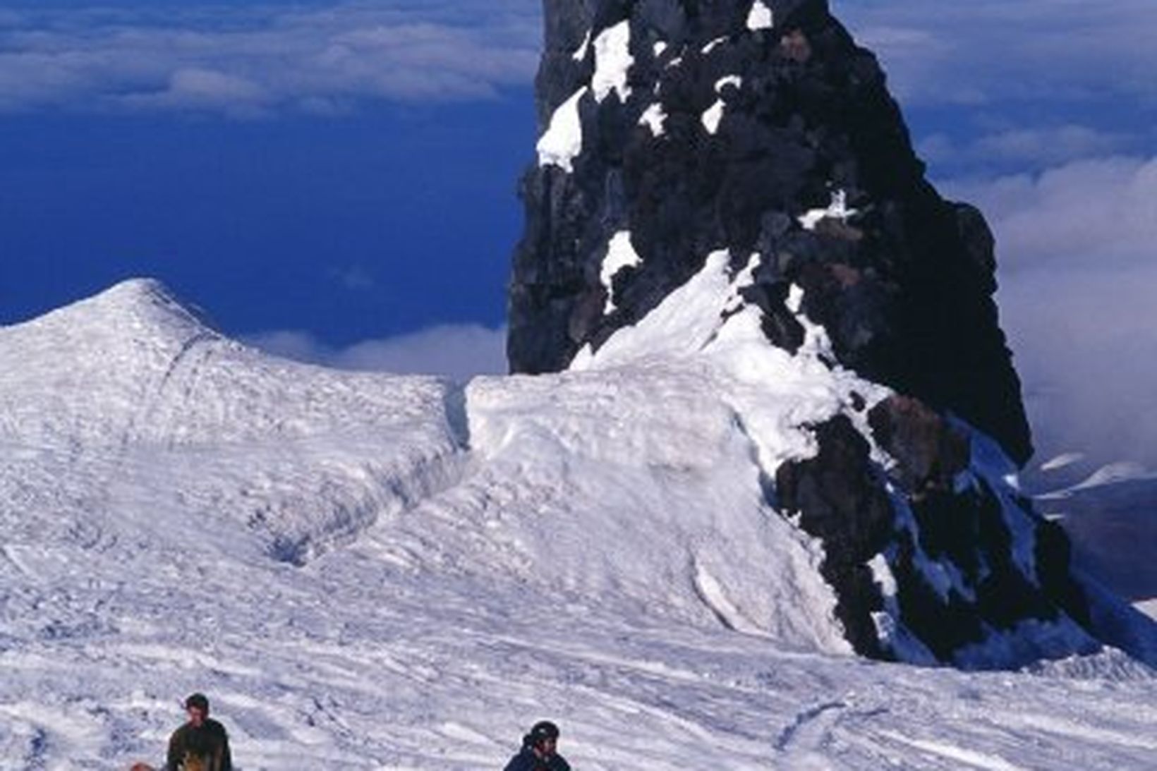 Vélsleðamenn.