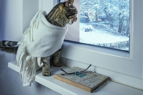 In Iceland we talk about "window weather" when it is beautiful to look at from the warmth of your home, but can be too cold to actually venture outside.