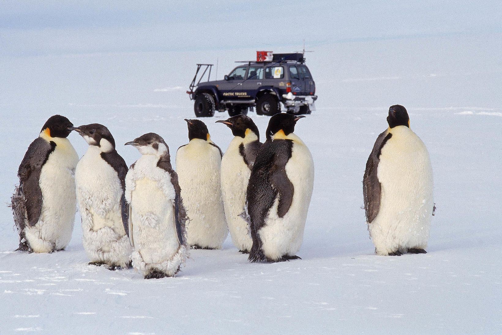Þar sem enginn vill halda sín jól