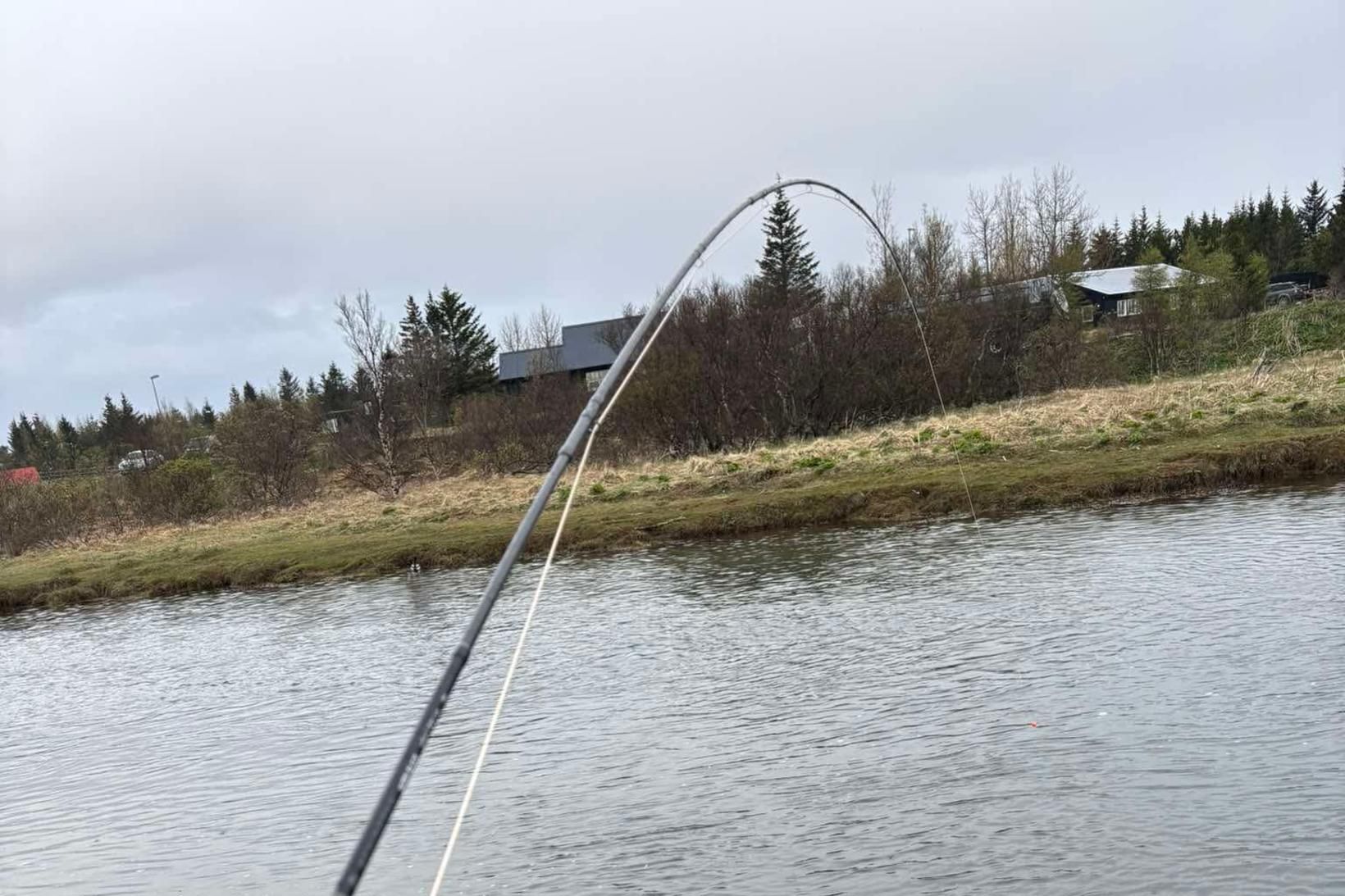 Sindri hefur lagt það vana sinn að taka eina vakt …