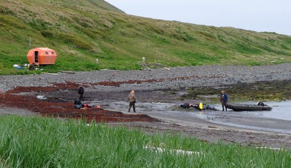 Meintur veiðiþjófnaður enn í rannsókn