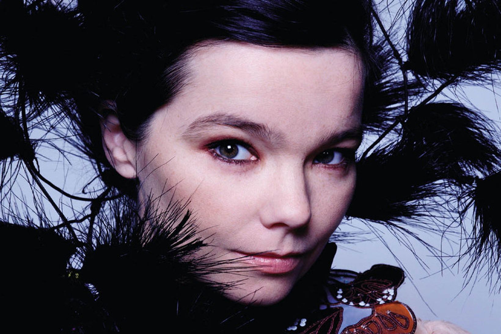 Björk Guðmundsdóttir