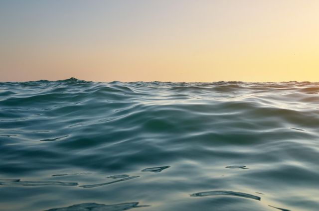 The role of Big Ocean States in today’s new world order