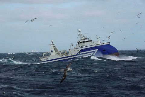 Skuttogarinn Akurey að veiðum fyrir Brim.