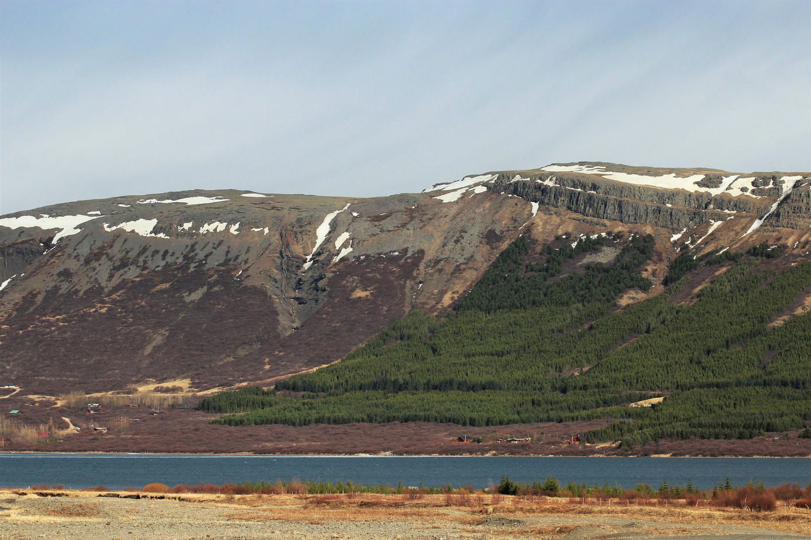 Skorradalur. Norðanmegin upp af vatni eru há grenitré, skæður eldsmatur.