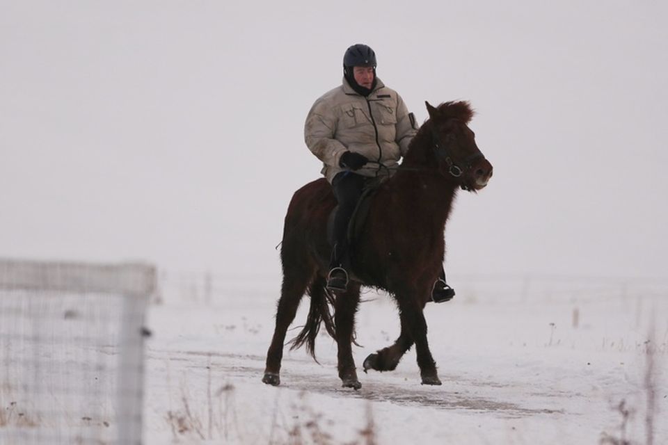 Á hestbaki í Víðidal