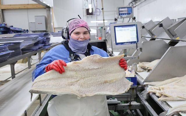 Ásdís Björk Sigurðardóttir vigtar saltfiskinn. Glaðbeitt heldur hún hér á vænu flaki af flattri löngu.