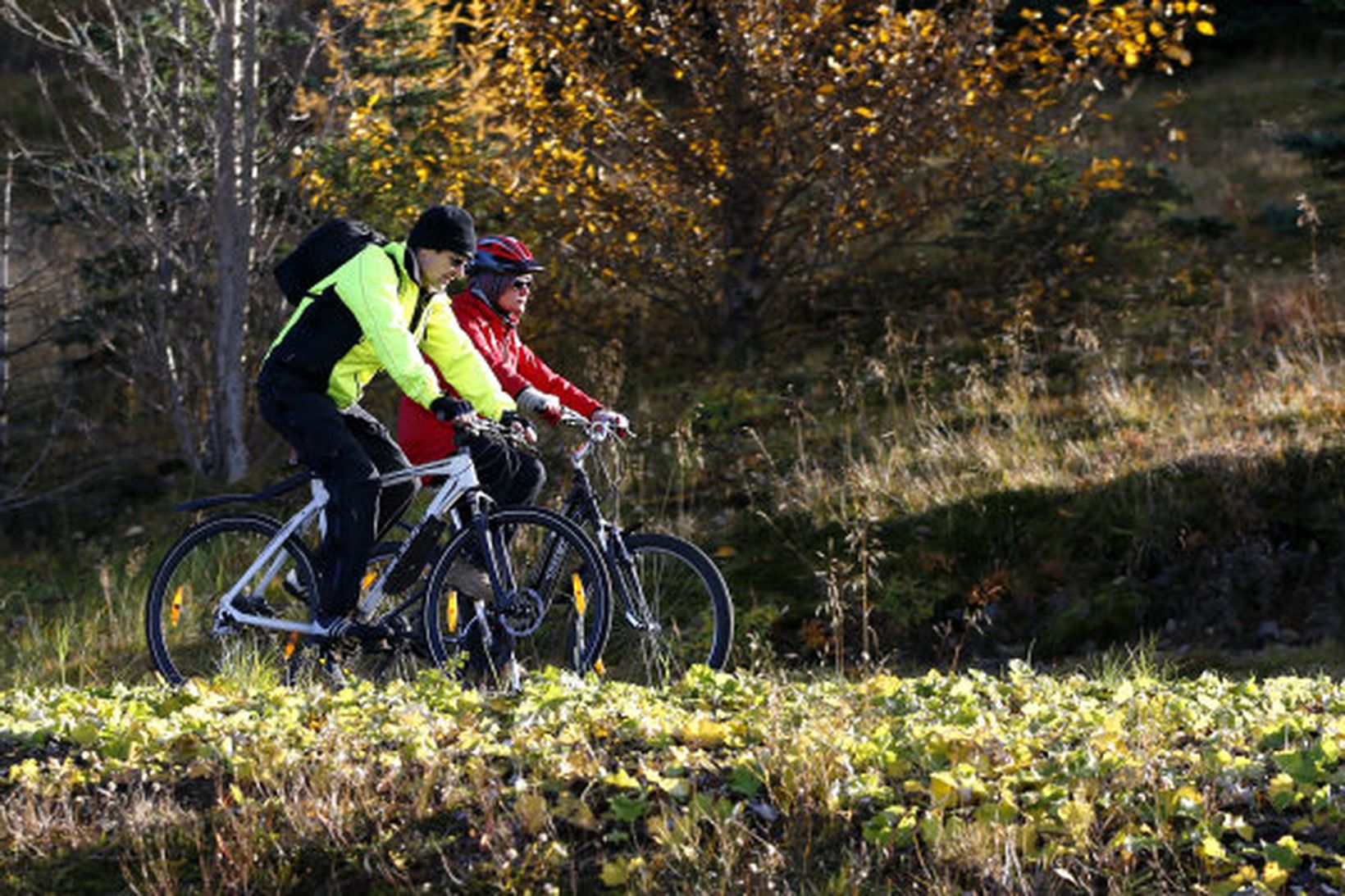 Hjólreiðakappar njóta fallegra haustlita.