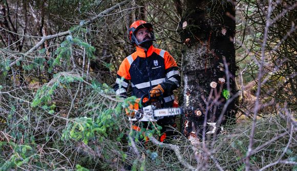 Tré falla fyrir flugvöllinn