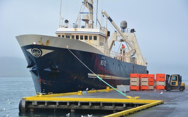 Landað úr togara Síldarvinnslunnar, Gullver NS, á Seyðisfirði. Gengi hlutabréfa félagsins hefur lækkað um tæp …