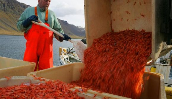 Skiptar skoðanir um rækjukvóta