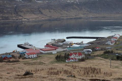 Birta BA, sem skráð er með heimahöfn á Tálknafirði, missir leyfi til strandveiða í eina …