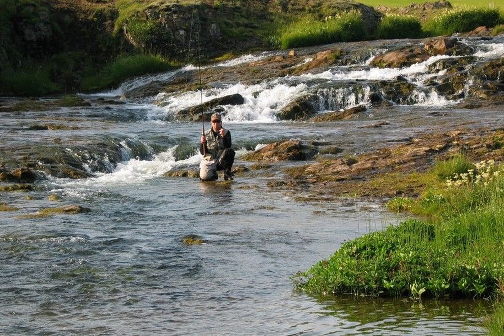 Við Berghyl og Foss í Korpu.