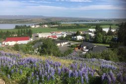 Egilsstaðir