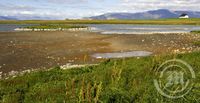 Uppþornuð Bakkatjörn