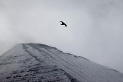 Gera má ráð fyrir snörpum hviðum undir Hafnarfjalli.