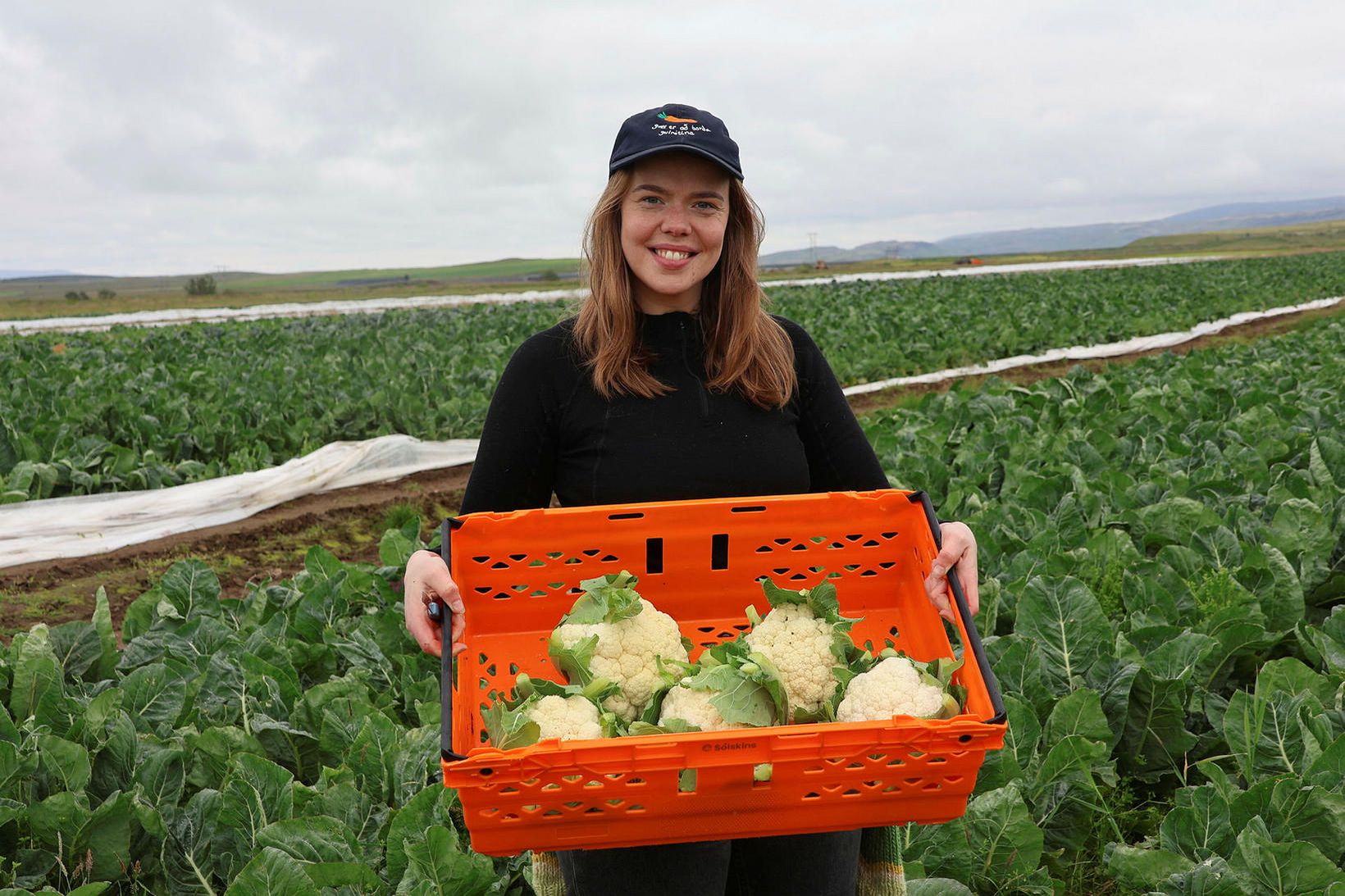 Halla Sif sækir hér blómkálshausa í garða sína við Flúðir.