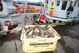 Þorskur var verðmætasta útflutningsafurðin árið 2024 en fyrir hann fengust um 143 milljarðar.