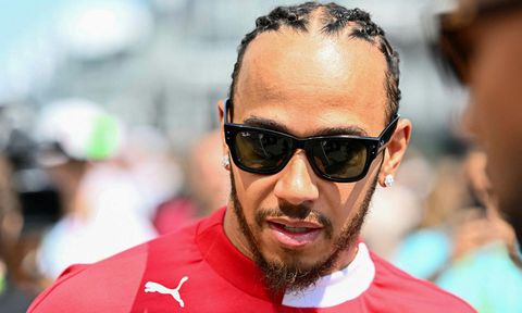 Hamilton miður sín eftir að keyra á dýr