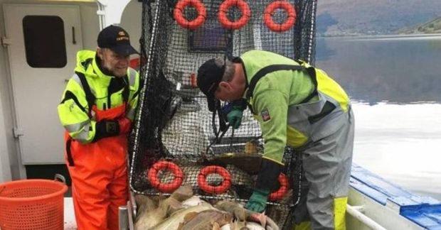 Gildrur nú á dögum eru orðnar töluvert smærri í sniðum en þær heimatilbúnu sem skipverjar …
